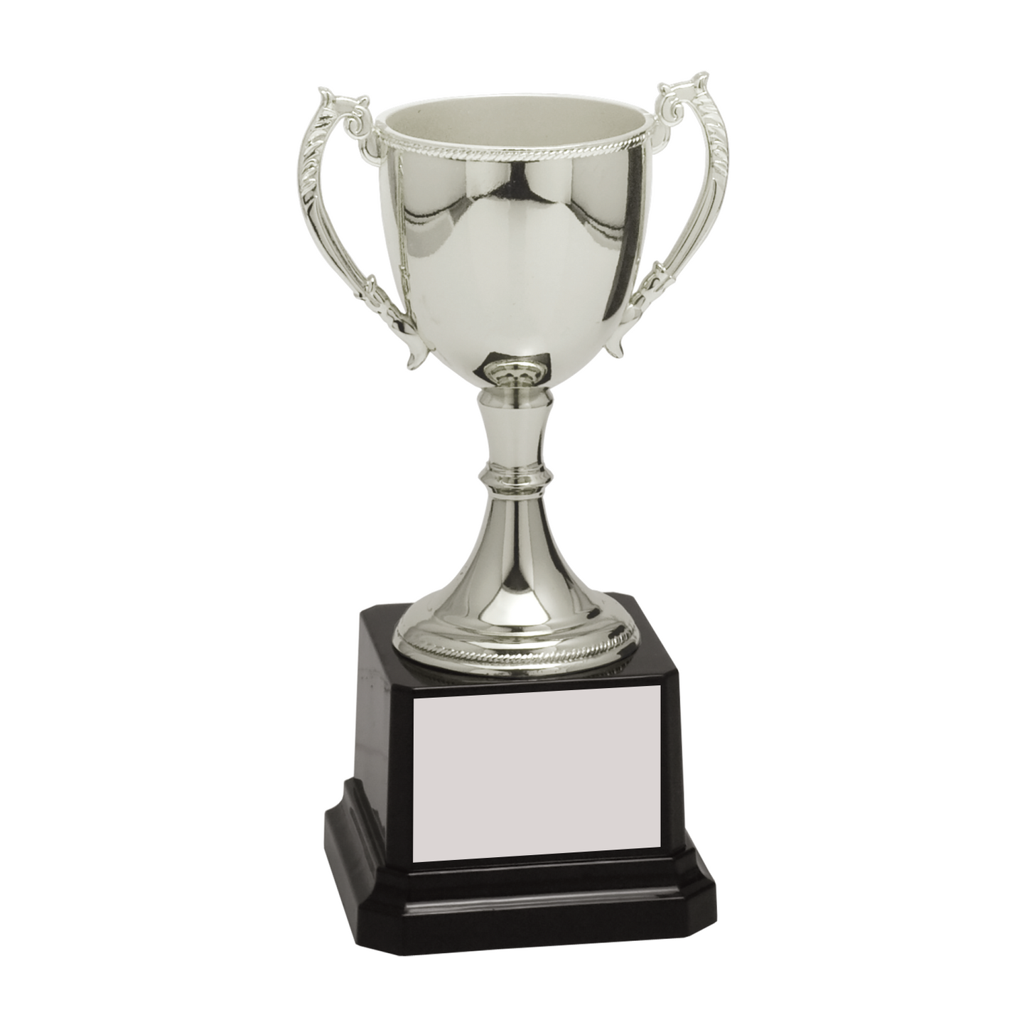 Completed Zinc Cup Trophy